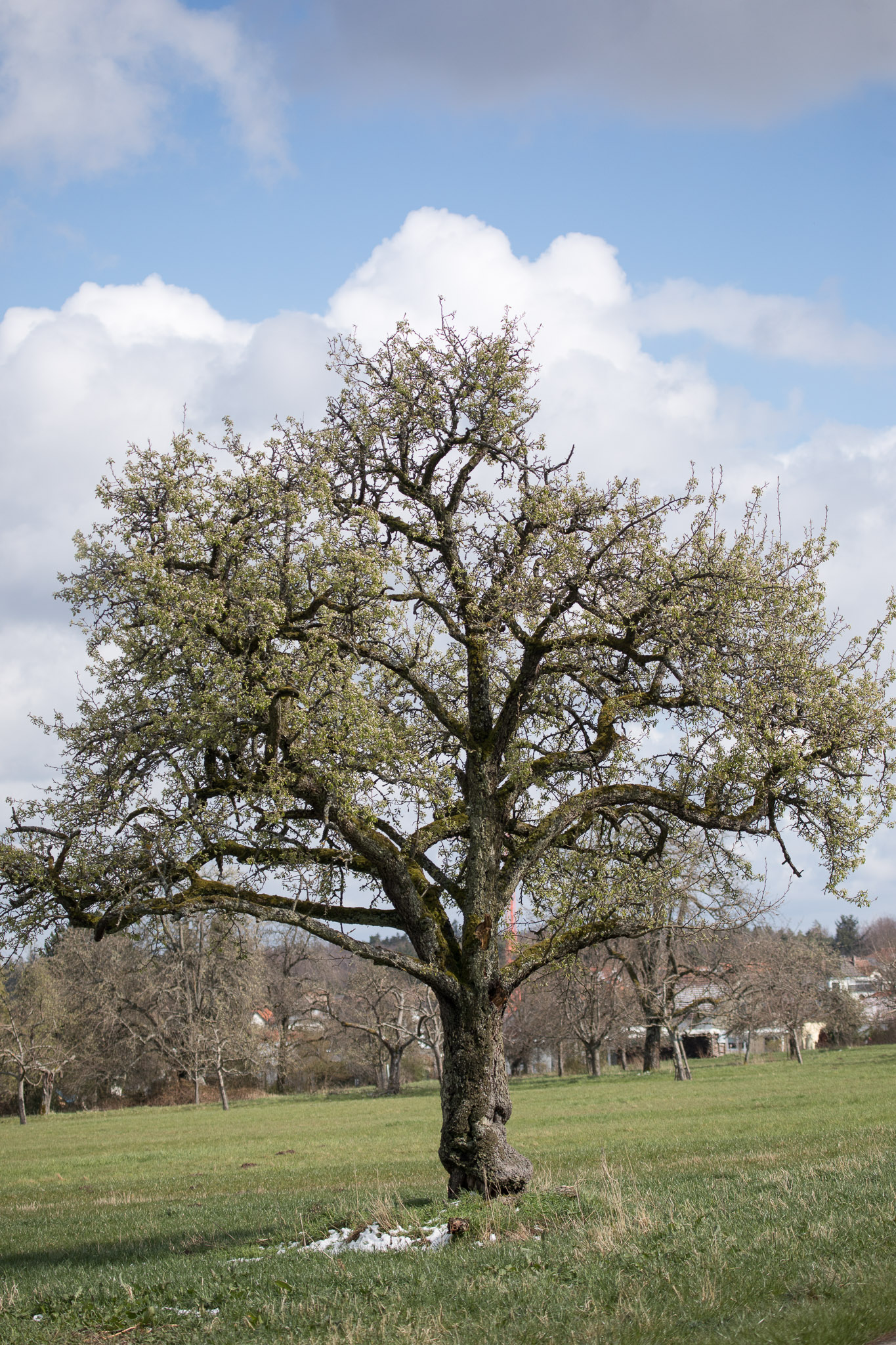 20220409153927 RD4 6503